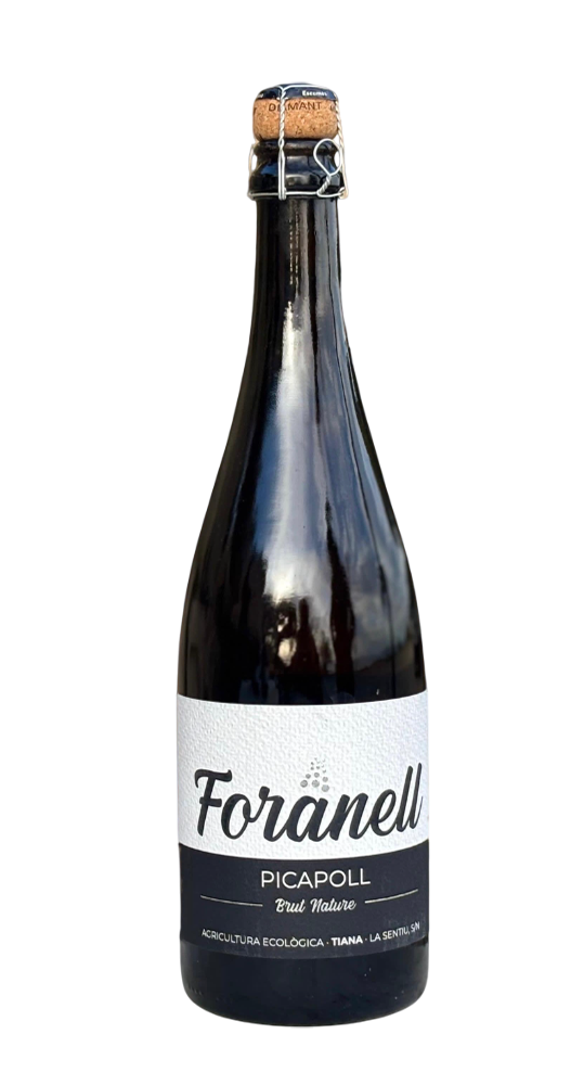 IMATGE FORANELL ESCUMOS 2018-Photoroom