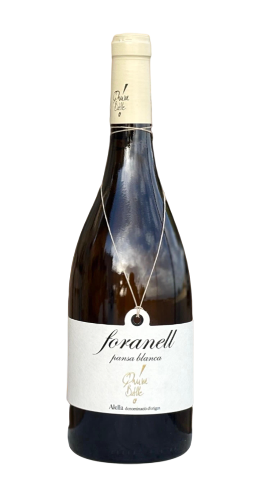 IMATGE FORANELL PANSA BLANCA 2021_b-Photoroom