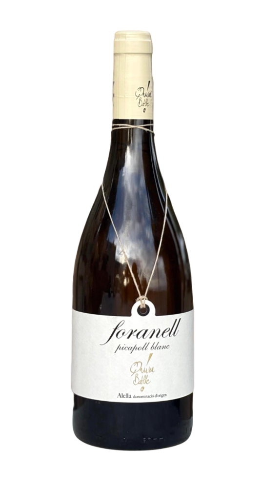 IMATGE FORANELL PICAPOLL BLANC 2022-Photoroom