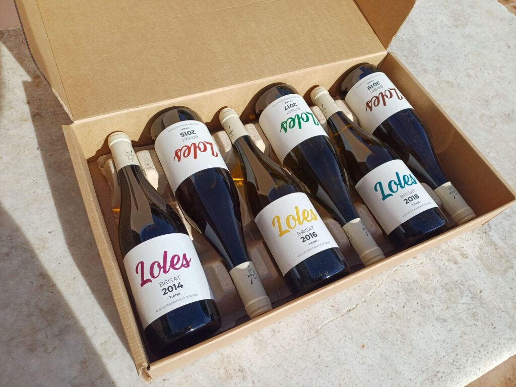 WhatsApp Image 2026-01-08 at 17.10